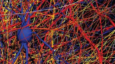 Neuron connexions © Blue Brain EPFL