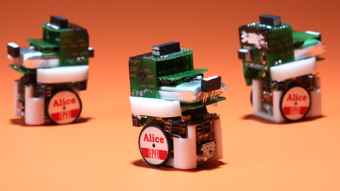 Petits robots de foraging utilisés dans l’expérience 