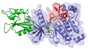La structure 3D de la kinase ABL© 2014 EPFL