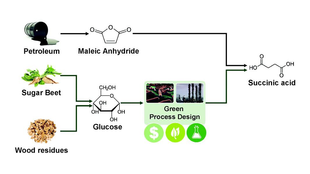 Petrochemical production via maleic anhydride versus alternative production from renewable resources via glucose to succininc acid © Energy & Environmental Science