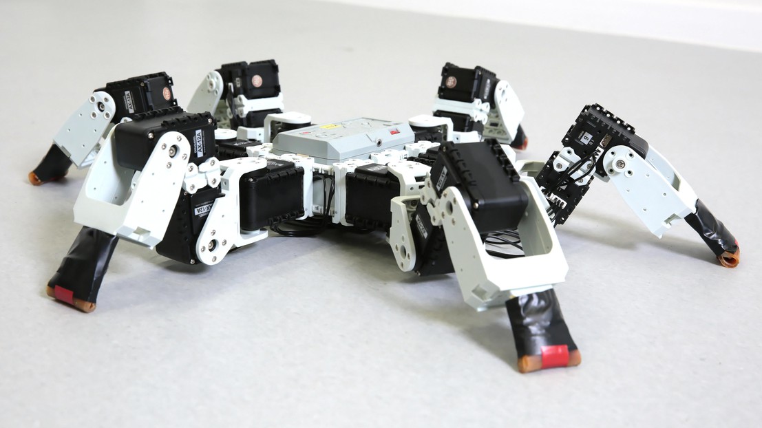 Un moyen plus rapide de faire avancer les robots à six pattes© Alain Herzog/2017 EPFL
