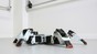 Une nouvelle démarche pour les robots à six pattes© Alain Herzog/2017 EPFL