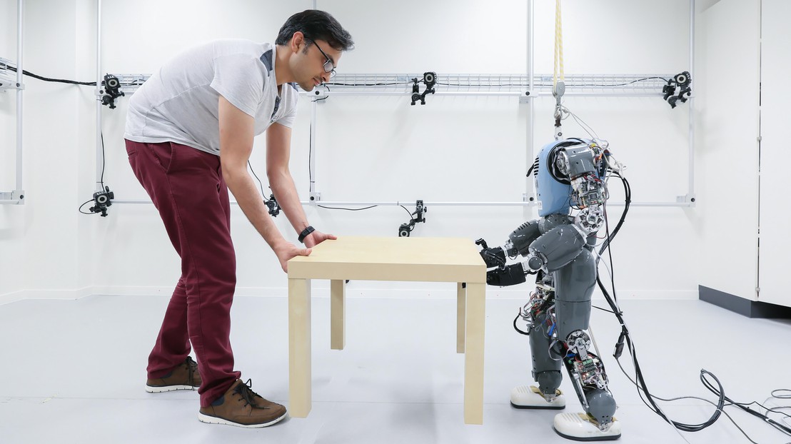 Le robot COMAN est conçu pour aider les humains dans certaines tâches, comme transporter une table, ici avec le chercheur Hamed Razavi. © 2017 EPFL/ A.Herzog