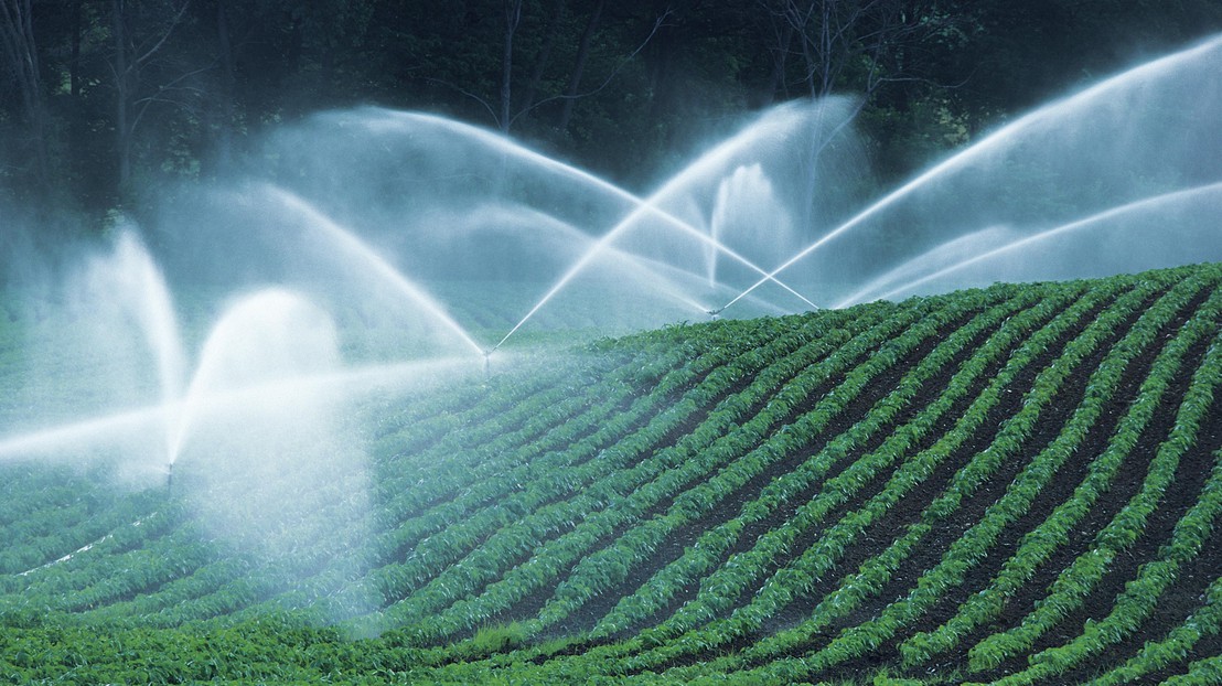 Agriculture uses 60% of the global water consumption.  © photos.com