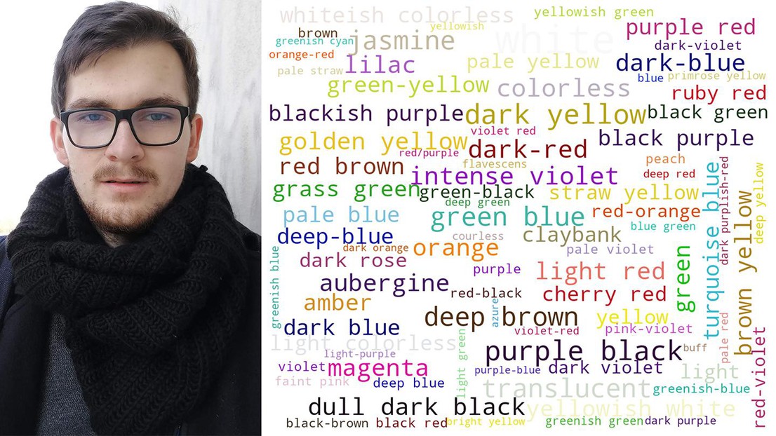 Kevin Jablonka et un Wordcloud des termes de couleur utilisés dans l'enquête (crédit : K. Jablonka)