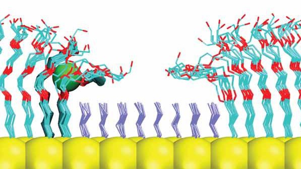 Nano-velcro Clasps Heavy Metal Molecules In Its Grips. - Epfl