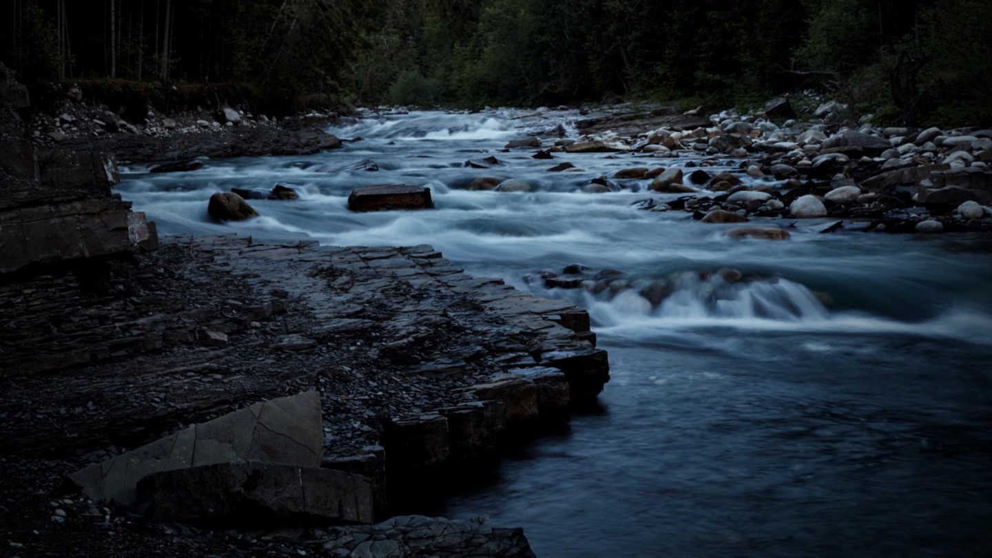 Rivers and streams emit much more CO2 at night than during the day - EPFL