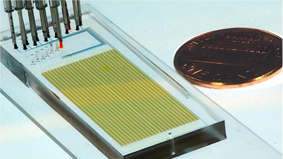 A MITOMI microfluidic device © Sebastian Maerkl / 2021 EPFL