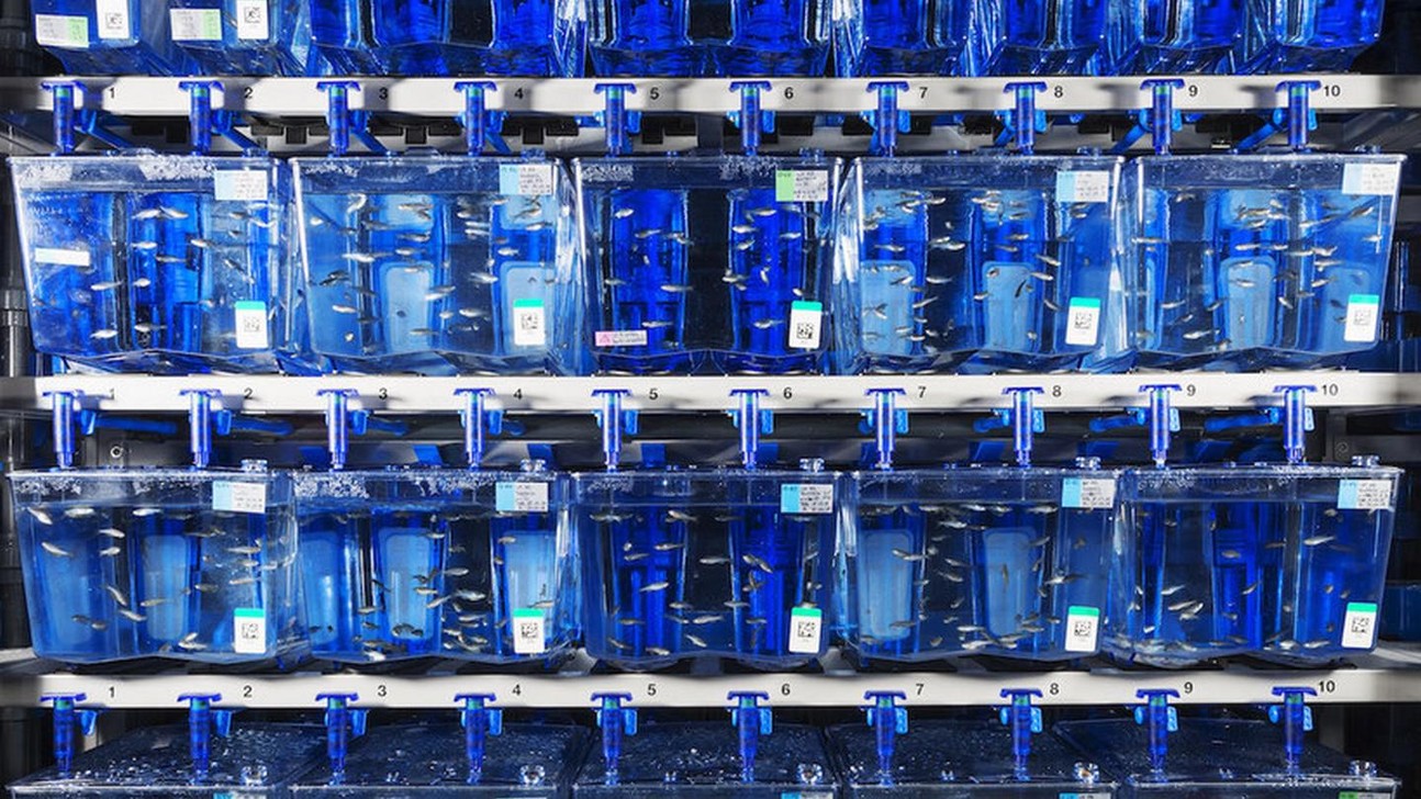 Epfl phd salary picture