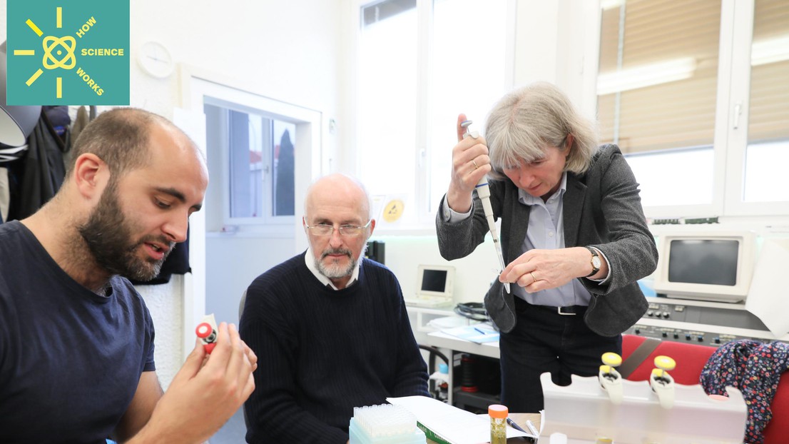 Atelier de séquençage génétique de nourriture organisé par le Laboratoire d’Épidémiologie Digitale de l’EPFL en 2019 © Alain Herzog / EPFL