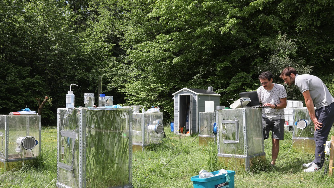 Le laboratoire à ciel ouvert de Bois-Chamblard.  2020 EPFL/Alain Herzog - CC-BY-SA 4.0