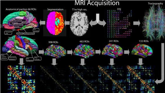 Connectome Mapping - EPFL