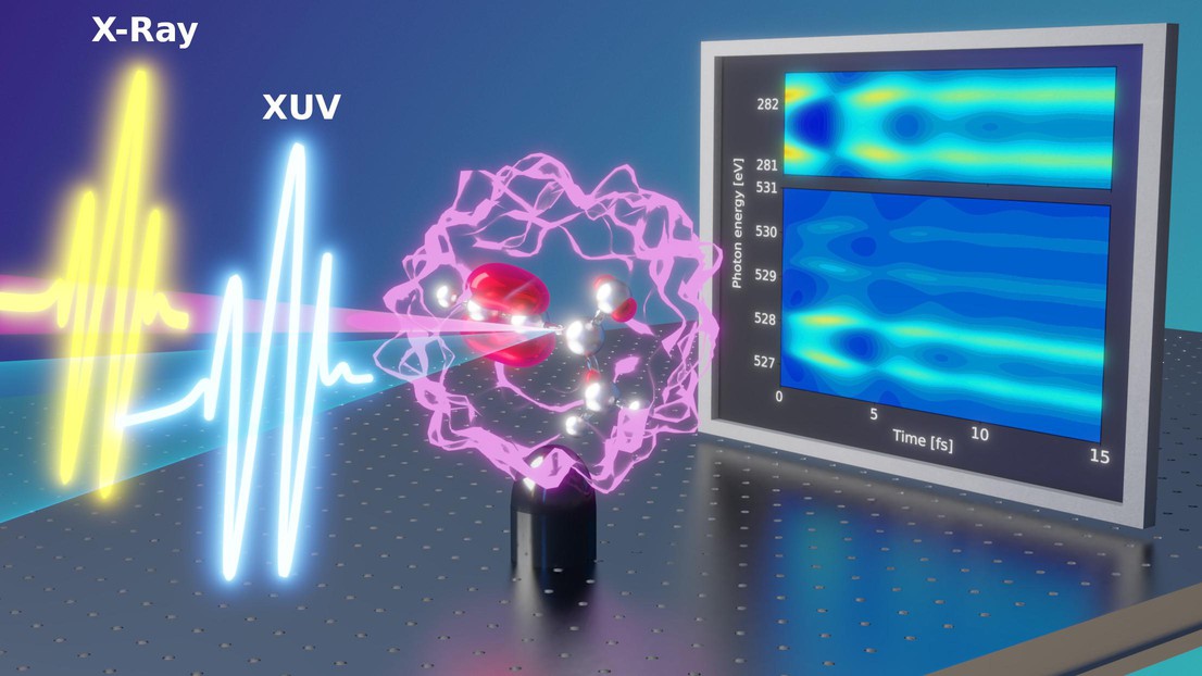 Fingerprints of ultrafast electron-nuclear dynamics obtained with attosecond transient absorption spectroscopy. Credit: N. Golubev, EPFL