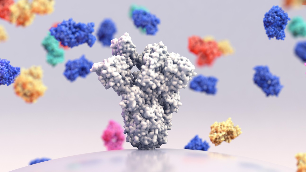 ©iStockphoto Broadly neutralizing monoclonal antibodies, binding antibodies that target multiple conserved sites on the spike (S) protein
