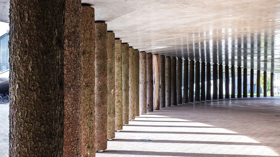 Tree Line Curve by Claudia Comte, 2021 Rolex Learning Center, EPFL © Kostas Maros