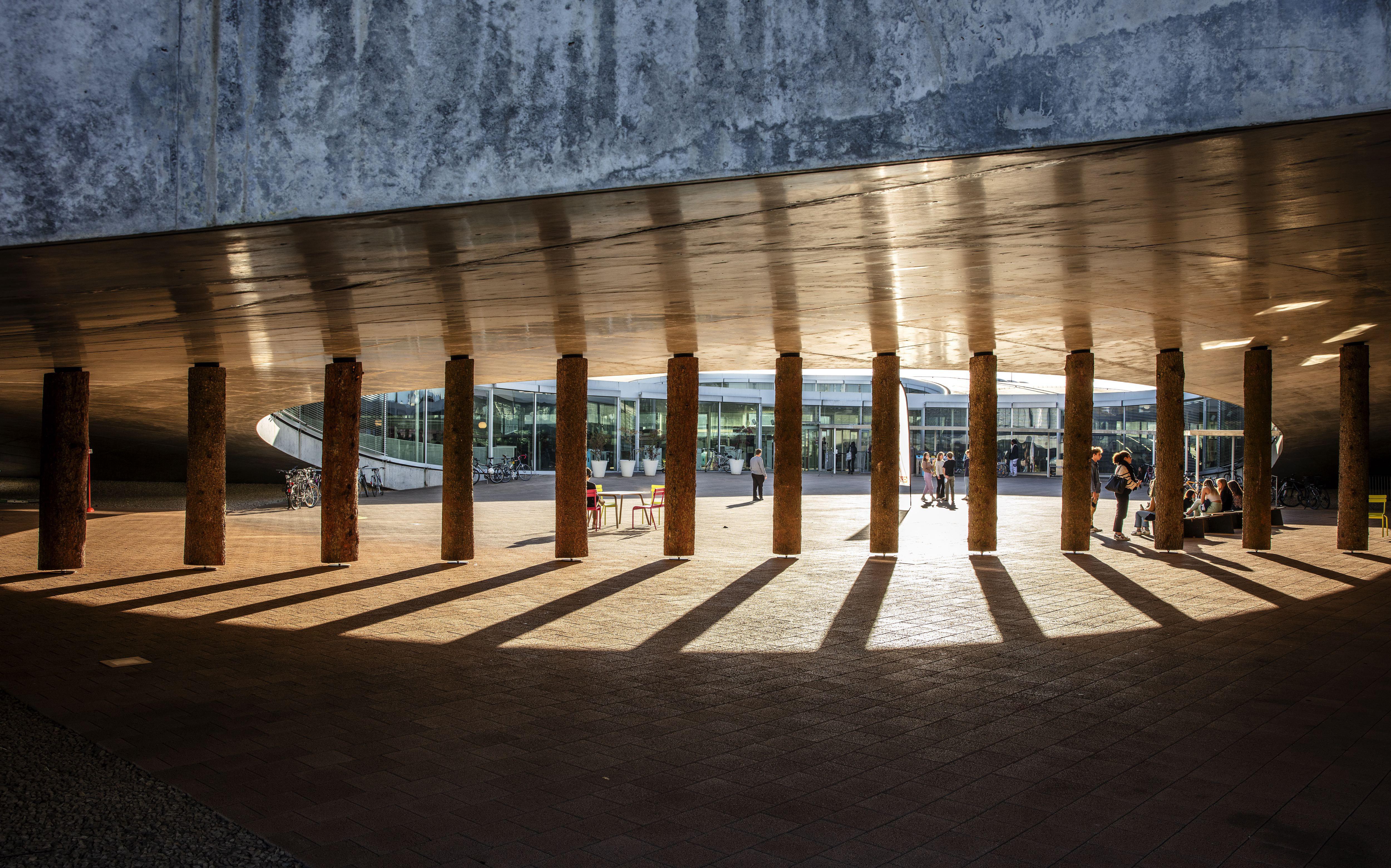 Tree Line Curve de Claudia Comte, 2021 Rolex Learning Center, EPFL © Kostas Maros
