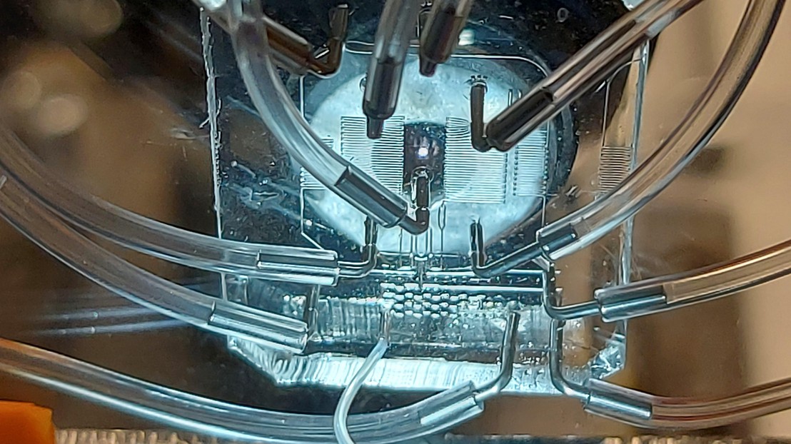 Close-up of the microfluidics enabling deterministic co-encapsulation of single cells at outstanding efficiencies. Credit: Joern Pezoldt (EPFL).