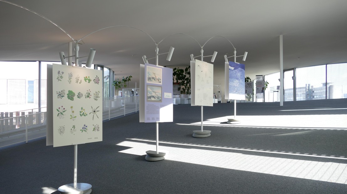 The exhibition “Le sommet qui cache le montagne” at the RLC © EPFL CDH LHST The exhibition “Le sommet qui cache le montagne” at the RLC © EPFL CDH LHST