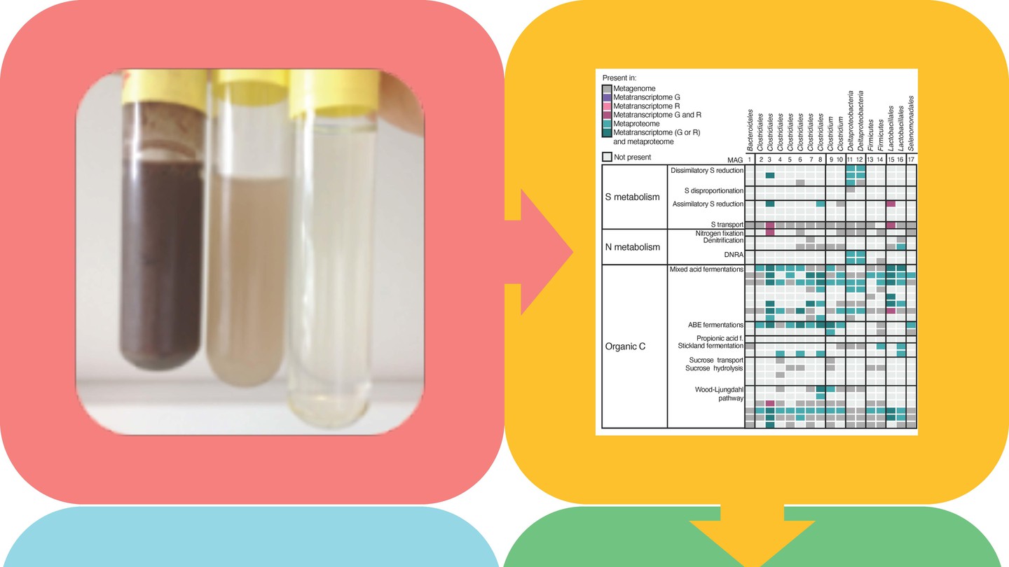 new-paper-in-isme-journal-epfl