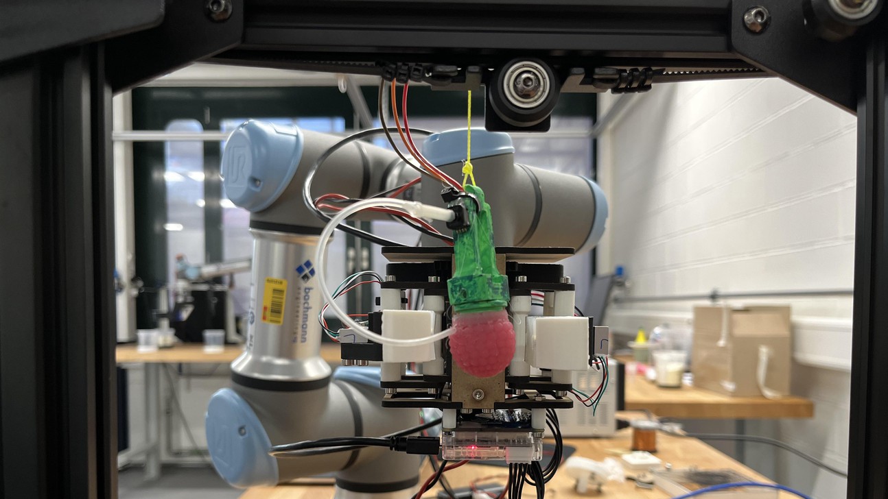 EPFL engineers have developed a silicone raspberry that can help teach harvesting robots to grasp fruit. © Anne-Muriel Brouet/EPFL