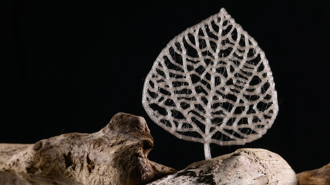 A 3D-printed “leaf” made with the new bioplastic. Credit: Alain Herzog (EPFL)