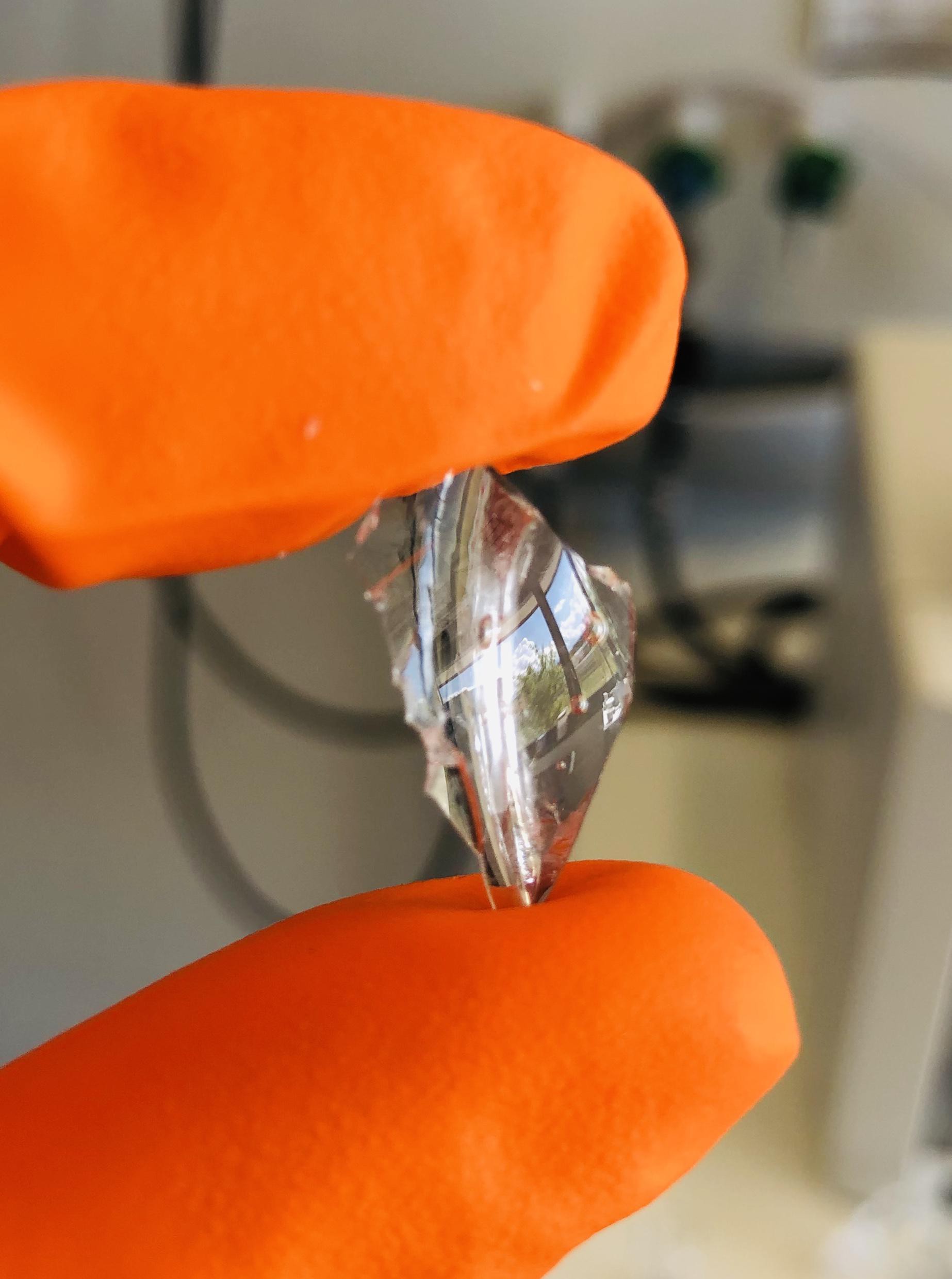 One of the first pieces of the bioplastic produced without any yellow coloration. Credit: Lorenz Manker