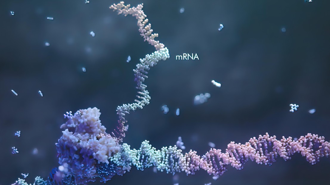 BRB-seq – the quick and cheaper future of RNA sequencing