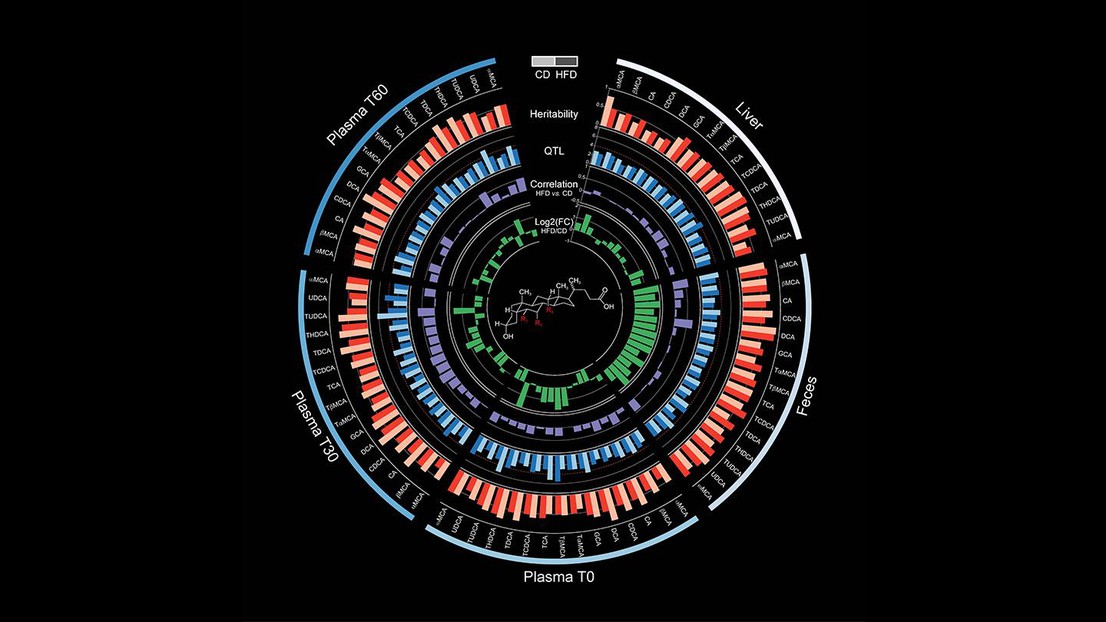 Credit: K. Schoonjans, J. Auwerx (EPFL)