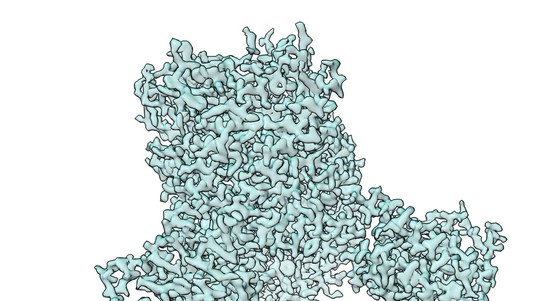 CryoEM density map of macromolecule © 2022 EPFL
