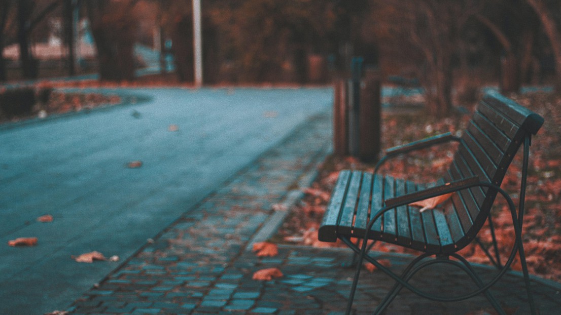 A bench in a park © Mari Dicu 2017 Unsplash