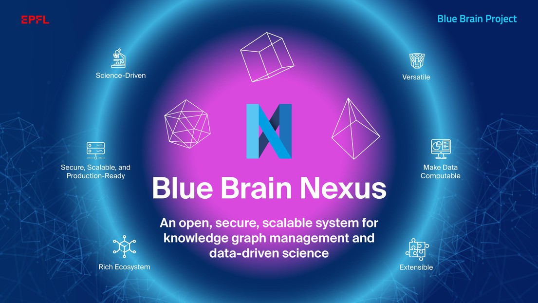 blue brain research paper 2021