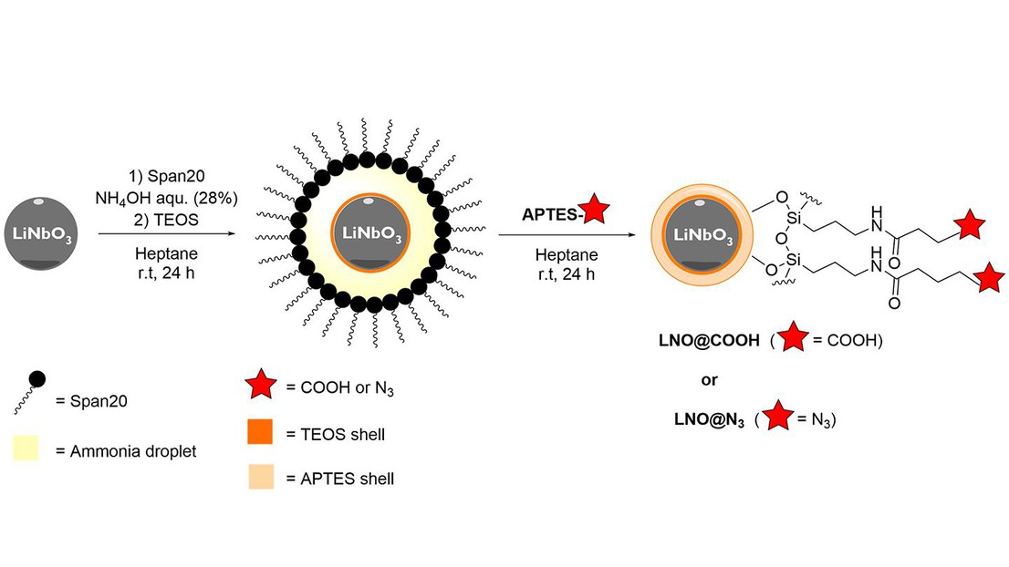W/O coating procedure © 2023 EPFL W/O coating procedure © 2023 EPFL
