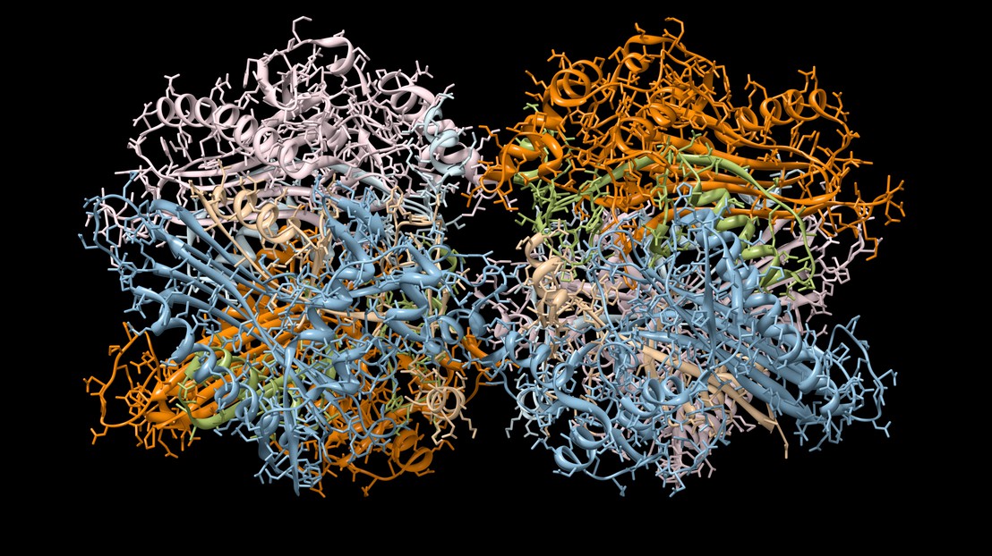 タンパク質配列の生成と設計のための新しいツール(A new tool for protein sequence generation and design)