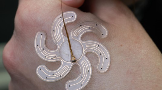 2023 EPFL / Alain Herzog