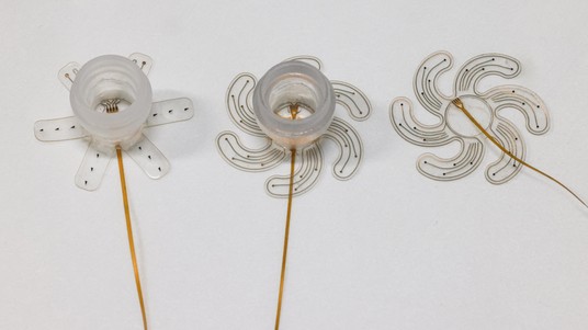 2023 EPFL / Alain Herzog