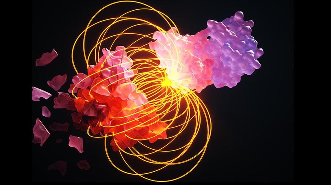 Protein surfaces vary widely and are dynamic, making it hard to predict how and where binding events will occur. © Ella Maru Studio