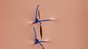 Nœud chirurgical réalisé sur un tampon de suture 2023 EPFL/Alain Herzog - CC-BY-SA 4.0