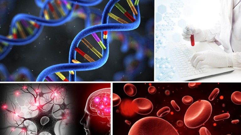 Dewi, DNAQuraCy, naialabs and MagFlow awarded four grants from FIT © 2023 EPFL