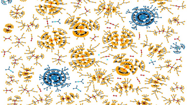 The configuration space of a 3-regular graph with 12 nodes. The attractors in the red/cyan colours, and their basin of attraction is in blue and yellow. Credit: Freya Behrens, EPFL.