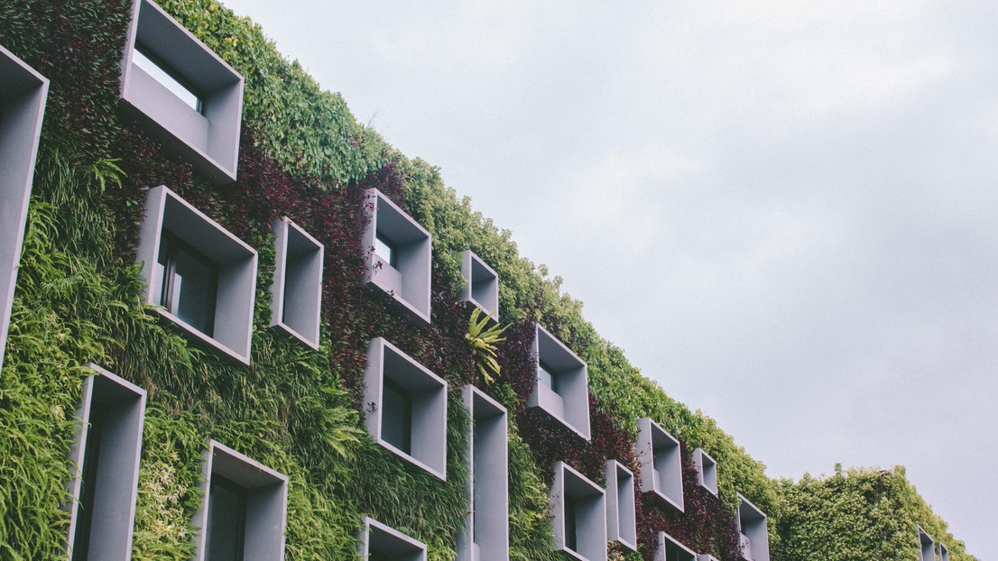 Green building © Darya Jum 2020 Unsplash Green building © Darya Jum 2020 Unsplash