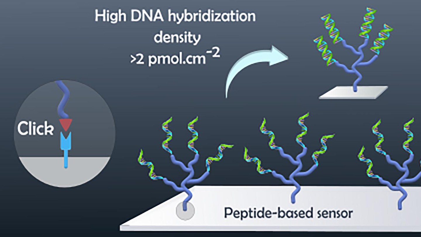 DNA biosensors © 2023 EPFL - CC-BY