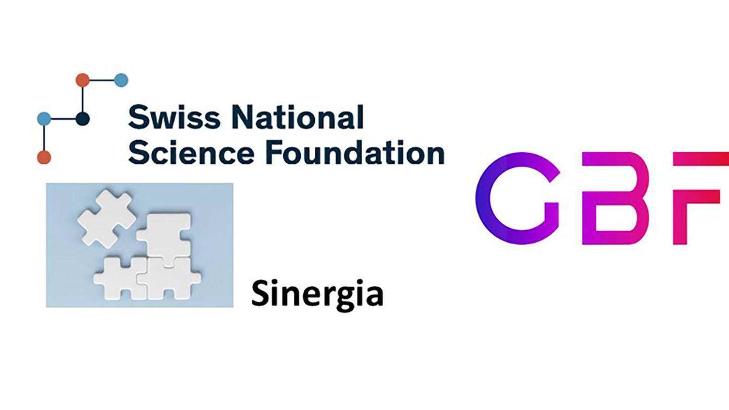 Sinergia project © GBF / 2023 EPFL