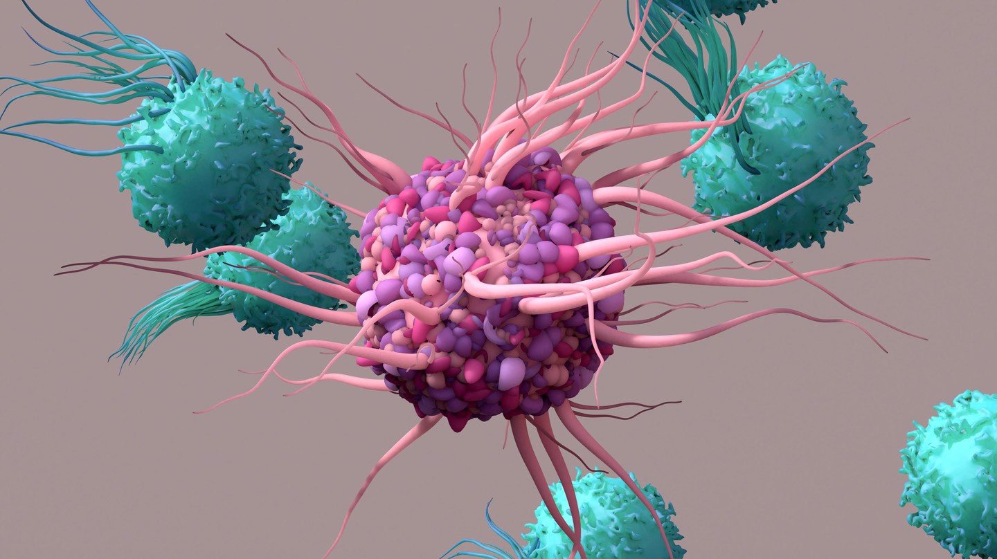 Une cellule dendritique, l'une des cellules du système immunitaire inné où le cGAS joue un rôle majeur ©EPFL/iStock photos (Design Cells)