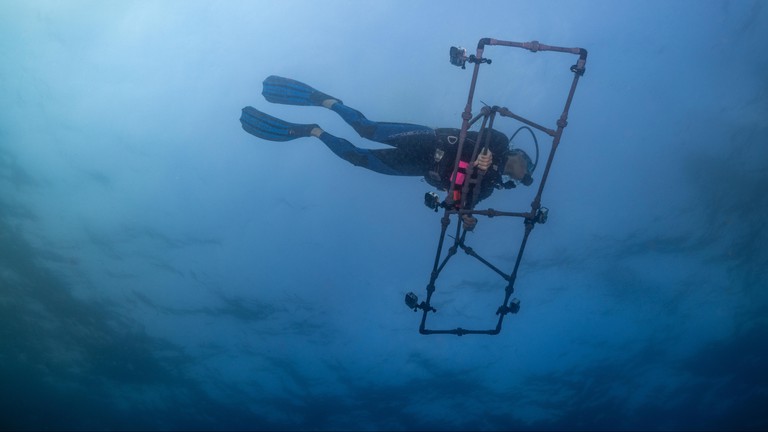 Les caméras sont placées sur une structure permettant de prendre des données sur une large bande de coraux © 2024 Lukasz Warzecha © LWimages