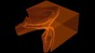 Rendu des données 3D du front de fissure © EMSI EPFL CC BY SA