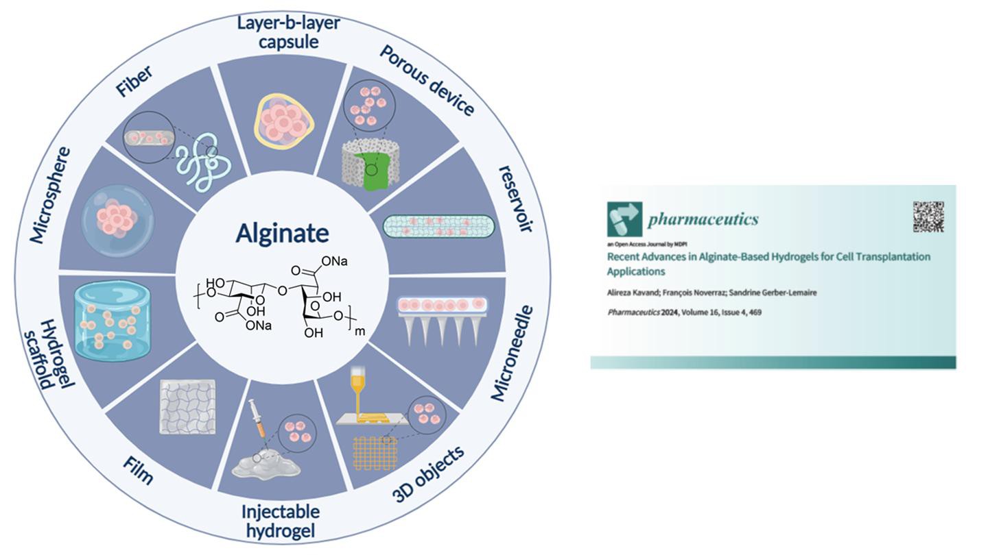 Alginate-Based Hydrogels © 2024 EPFL