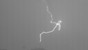 Image d'un éclair positif ascendant prise par une caméra à grande vitesse © EMC EPFL CC BY SA