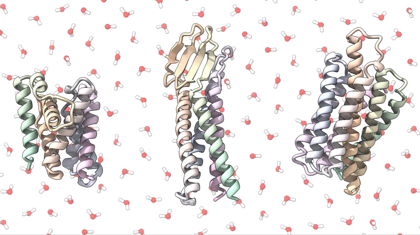 Rendering of some of the team’s soluble protein analogues © LPDI EPFL