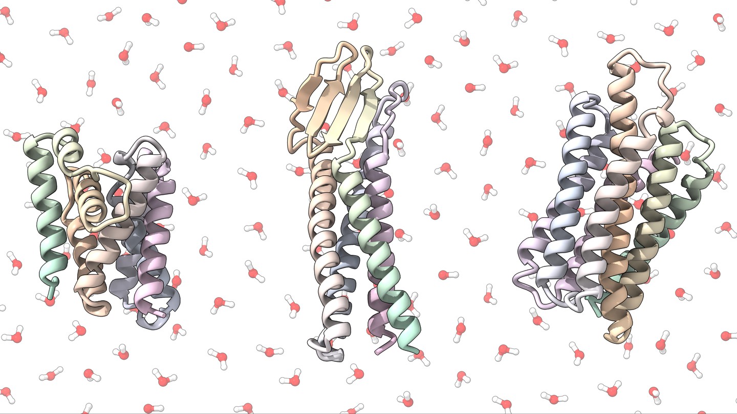Rendering of some of the team’s soluble protein analogues. EPFL/LPDI -CC-BY-SA 4.0