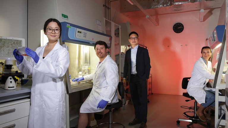 From left to right: Co-authors Weilin Li, Tom Enbar, Li Tang, and Lucia Bonati © Alain Herzog